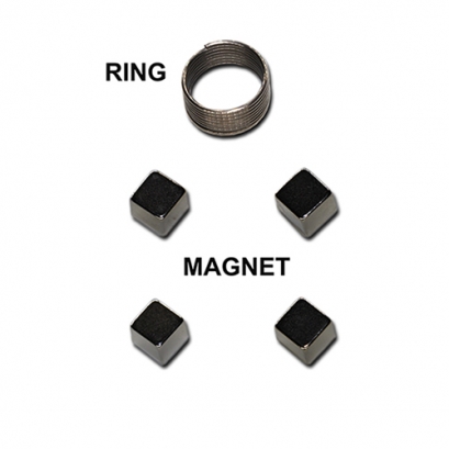 Magnet & Ring Magnet & Ring